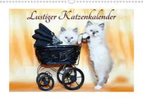 Chrystal |  Lustiger Katzenkalender (Wandkalender 2020 DIN A3 quer) | Sonstiges |  Sack Fachmedien