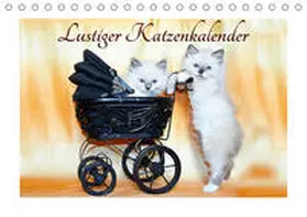 Chrystal |  Lustiger Katzenkalender (Tischkalender 2020 DIN A5 quer) | Sonstiges |  Sack Fachmedien