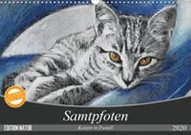 Felix |  Samtpfoten - Katzen in Pastell (Wandkalender 2020 DIN A3 quer) | Sonstiges |  Sack Fachmedien