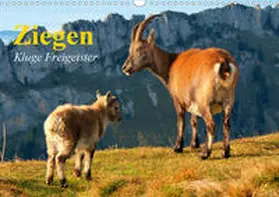 Stanzer |  Ziegen. Kluge Freigeister (Wandkalender 2020 DIN A3 quer) | Sonstiges |  Sack Fachmedien