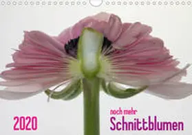Weber-Gebert |  2020 - noch mehr SCHNITTBLUMEN (Wandkalender 2020 DIN A4 quer) | Sonstiges |  Sack Fachmedien
