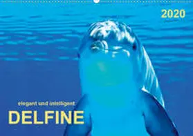 Roder |  Delfine - elegant und intelligent (Wandkalender 2020 DIN A2 quer) | Sonstiges |  Sack Fachmedien