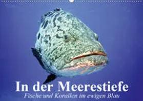 Stanzer |  In der Meerestiefe. Fische und Korallen im ewigen Blau (Wandkalender 2020 DIN A2 quer) | Sonstiges |  Sack Fachmedien