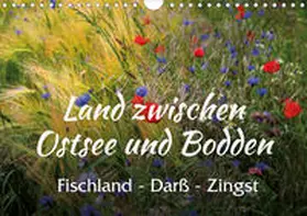 Reichenauer |  Land zwischen Ostsee und Bodden, Fischland - Darß - Zingst (Wandkalender 2020 DIN A4 quer) | Sonstiges |  Sack Fachmedien