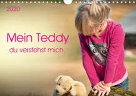 Roder |  Mein Teddy - du verstehst mich (Wandkalender 2020 DIN A4 quer) | Sonstiges |  Sack Fachmedien