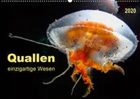 Roder |  Quallen - einzigartige Wesen (Wandkalender 2020 DIN A2 quer) | Sonstiges |  Sack Fachmedien