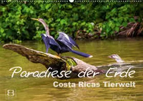 Busch |  Paradiese der Erde: Costa Ricas Tierwelt (Wandkalender 2020 DIN A2 quer) | Sonstiges |  Sack Fachmedien