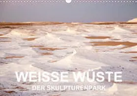 Klein |  WEISSE WÜSTE Der Skulpturenpark (Wandkalender 2020 DIN A3 quer) | Sonstiges |  Sack Fachmedien