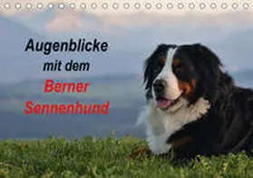 Hunscheidt |  Augenblicke mit dem Berner Sennenhund (Tischkalender 2020 DIN A5 quer) | Sonstiges |  Sack Fachmedien