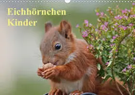 Meier |  Eichhörnchen Kinder (Wandkalender 2020 DIN A3 quer) | Sonstiges |  Sack Fachmedien