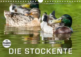 Gerlach |  Emotionale Momente: Die Stockente. (Wandkalender 2020 DIN A4 quer) | Sonstiges |  Sack Fachmedien