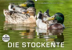 Gerlach |  Emotionale Momente: Die Stockente. (Wandkalender 2020 DIN A2 quer) | Sonstiges |  Sack Fachmedien