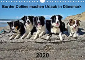 Busch |  Border Collies machen Urlaub in Dänemark (Wandkalender 2020 DIN A4 quer) | Sonstiges |  Sack Fachmedien