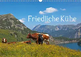 Kramer |  Friedliche Kühe (Wandkalender 2020 DIN A3 quer) | Sonstiges |  Sack Fachmedien