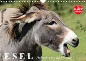 Stanzer |  Esel. Hübsch, klug und fleißig (Wandkalender 2020 DIN A4 quer) | Sonstiges |  Sack Fachmedien