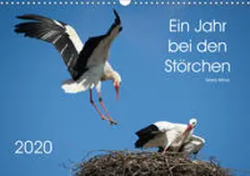 Bittner |  Ein Jahr bei den Störchen (Wandkalender 2020 DIN A3 quer) | Sonstiges |  Sack Fachmedien
