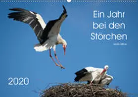 Bittner |  Ein Jahr bei den Störchen (Wandkalender 2020 DIN A2 quer) | Sonstiges |  Sack Fachmedien