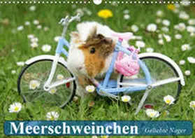 Stanzer |  Meerschweinchen. Geliebte Nager (Wandkalender 2020 DIN A3 quer) | Sonstiges |  Sack Fachmedien