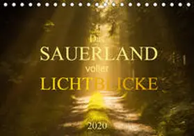 Bücker |  Das Sauerland voller Lichtblicke (Tischkalender 2020 DIN A5 quer) | Sonstiges |  Sack Fachmedien