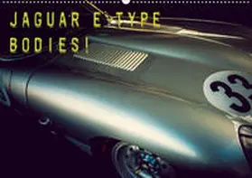 Hinrichs |  Jaguar E-Type - Bodies (Wandkalender 2020 DIN A2 quer) | Sonstiges |  Sack Fachmedien