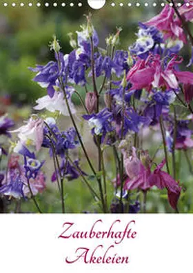 Goebel |  Zauberhafte Akeleien (Wandkalender 2020 DIN A4 hoch) | Sonstiges |  Sack Fachmedien