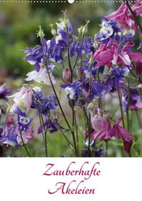 Goebel |  Zauberhafte Akeleien (Wandkalender 2020 DIN A2 hoch) | Sonstiges |  Sack Fachmedien