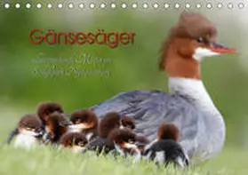 Gebert |  Gänsesäger - alleinerziehende Mütter im Schloßpark Nymphenburg (Tischkalender 2020 DIN A5 quer) | Sonstiges |  Sack Fachmedien