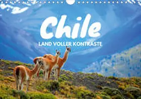 Tischer |  Chile - Land voller Kontraste (Wandkalender 2020 DIN A4 quer) | Sonstiges |  Sack Fachmedien