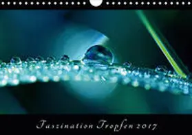 Brockmann |  Faszination Tropfen 2020 (Wandkalender 2020 DIN A4 quer) | Sonstiges |  Sack Fachmedien