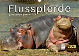 Roder |  Flusspferde - gemütlich gefährlich (Wandkalender 2020 DIN A3 quer) | Sonstiges |  Sack Fachmedien