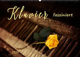 Roder |  Klavier fasziniert (Wandkalender 2020 DIN A2 quer) | Sonstiges |  Sack Fachmedien