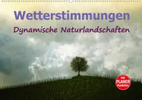Brunner-Klaus |  Wetterstimmungen. Dynamische Naturlandschaften (Wandkalender 2020 DIN A2 quer) | Sonstiges |  Sack Fachmedien