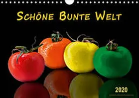 Roder |  Schöne bunte Welt (Wandkalender 2020 DIN A4 quer) | Sonstiges |  Sack Fachmedien