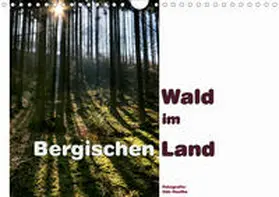 Haafke |  Wald im Bergischen Land 2020 (Wandkalender 2020 DIN A4 quer) | Sonstiges |  Sack Fachmedien