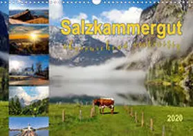 Roder |  Salzkammergut, überraschend vielseitig (Wandkalender 2020 DIN A3 quer) | Sonstiges |  Sack Fachmedien