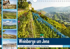 Gropp |  Weinberge um Jena (Wandkalender 2020 DIN A4 quer) | Sonstiges |  Sack Fachmedien