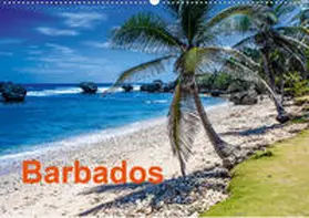 Krahn |  Barbados (Wandkalender 2020 DIN A2 quer) | Sonstiges |  Sack Fachmedien