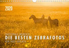 Gerlach |  Emotionale Momente: Die besten Zebrafotos von Ingo Gerlach (Wandkalender 2020 DIN A4 quer) | Sonstiges |  Sack Fachmedien