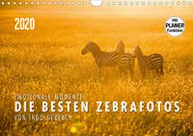 Gerlach |  Emotionale Momente: Die besten Zebrafotos von Ingo Gerlach (Wandkalender 2020 DIN A4 quer) | Sonstiges |  Sack Fachmedien