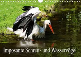 Müller |  Imposante Schreit- und Wasservögel (Wandkalender 2020 DIN A4 quer) | Sonstiges |  Sack Fachmedien