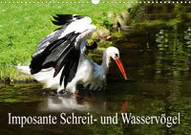 Müller |  Imposante Schreit- und Wasservögel (Wandkalender 2020 DIN A3 quer) | Sonstiges |  Sack Fachmedien