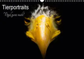 Honold |  Tierportraits - Vögel ganz nah (Wandkalender 2020 DIN A3 quer) | Sonstiges |  Sack Fachmedien