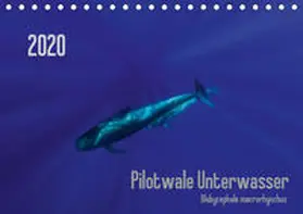 Weber-Gebert |  Pilotwale Unterwasser - Globicephala macrorhynchus (Tischkalender 2020 DIN A5 quer) | Sonstiges |  Sack Fachmedien