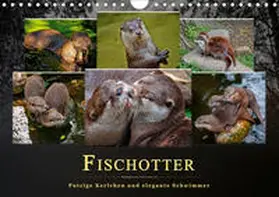 Roder |  Fischotter - putzige Kerlchen und elegante Schwimmer (Wandkalender 2020 DIN A4 quer) | Sonstiges |  Sack Fachmedien