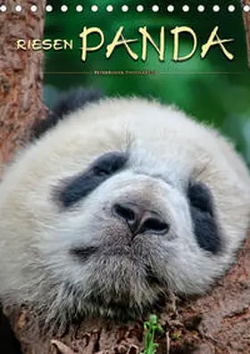 Roder |  Riesenpanda (Tischkalender 2020 DIN A5 hoch) | Sonstiges |  Sack Fachmedien