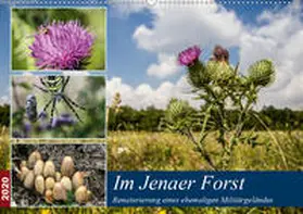 Gropp |  Im Jenaer Forst (Wandkalender 2020 DIN A2 quer) | Sonstiges |  Sack Fachmedien