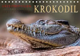 Roder |  Urzeitreptilien - Krokodil (Tischkalender 2020 DIN A5 quer) | Sonstiges |  Sack Fachmedien