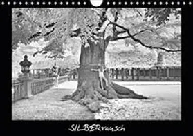 Zimmermann |  SILBERrausch (Wandkalender 2020 DIN A4 quer) | Sonstiges |  Sack Fachmedien