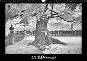 Zimmermann | SILBERrausch (Wandkalender 2020 DIN A3 quer) | Sonstiges | 978-3-671-02857-3 | www2.sack.de