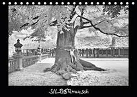 Zimmermann |  SILBERrausch (Tischkalender 2020 DIN A5 quer) | Sonstiges |  Sack Fachmedien